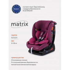 Автокресло Rant Matrix Safety Line 0/1/2/3 (0-36 кг) velvet purple