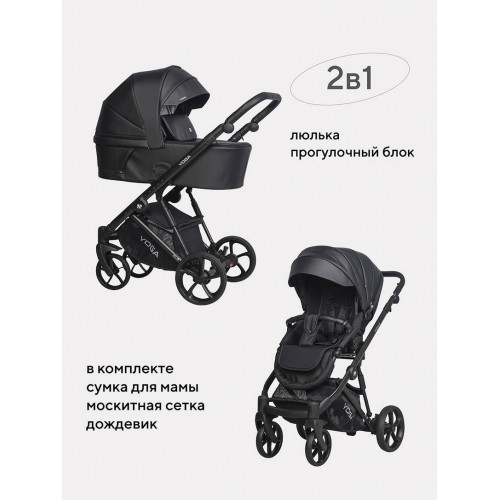 Коляска 2 в 1 Riko Basic Yoga Ecco 12 Black