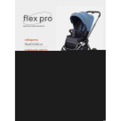 Коляска прогулочная Rant Flex Pro 2023 RA099 Blue