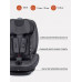 Автокресло Rant IQ isofix 1/2/3 (9-36 кг) Dark grey